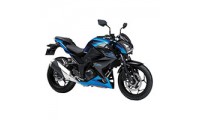 Carénage Kawasaki Z250/Z300