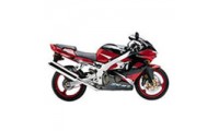 Carénage Kawasaki ZX9R 2000-2001