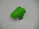 Carénages Moto Kawasaki Ninja 300 EX300R 2013-2024 - Blanc Vert Noir