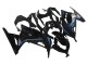 Carénages Moto Kawasaki EX300 2013-2017 - Noir Brillant Bleu