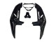 Carénages Moto Honda CBR900RR 919 1998-1999 - Noir Brillant Blanc Décalque