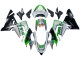 Carénages Moto Kawasaki ZX10R 2004-2005 - Vert Argent Noir 69