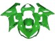 Carénages Moto Kawasaki ZX6R 2005-2006 - Vert