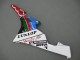 Carénages Moto Yamaha YZF 600 R6 2006-2007 - Bleu Vert Blanc Rouge Dunlop Michelin Motul