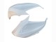 Carénages Moto Kawasaki Z800 2013-2018 - Blanc Vert Argent Noir