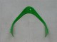 Carénages Moto Kawasaki ZX9R 2000-2001 - Vert Argent Noir
