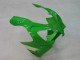 Carénages Moto Kawasaki ZX9R 2000-2001 - Vert Argent Noir