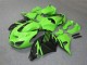 Carénage Kawasaki ZX14R ZZR 1400 06-11 - Vert Noir